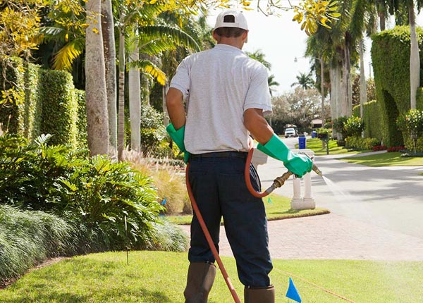 About Rose Hill NC Pest Control